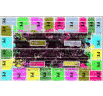 A 24 Processors System on Chip FPGA Design with Network on Chip