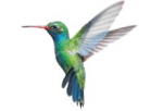 Colibri, the codec for perfect quality and fast distribution of professional AV over IP