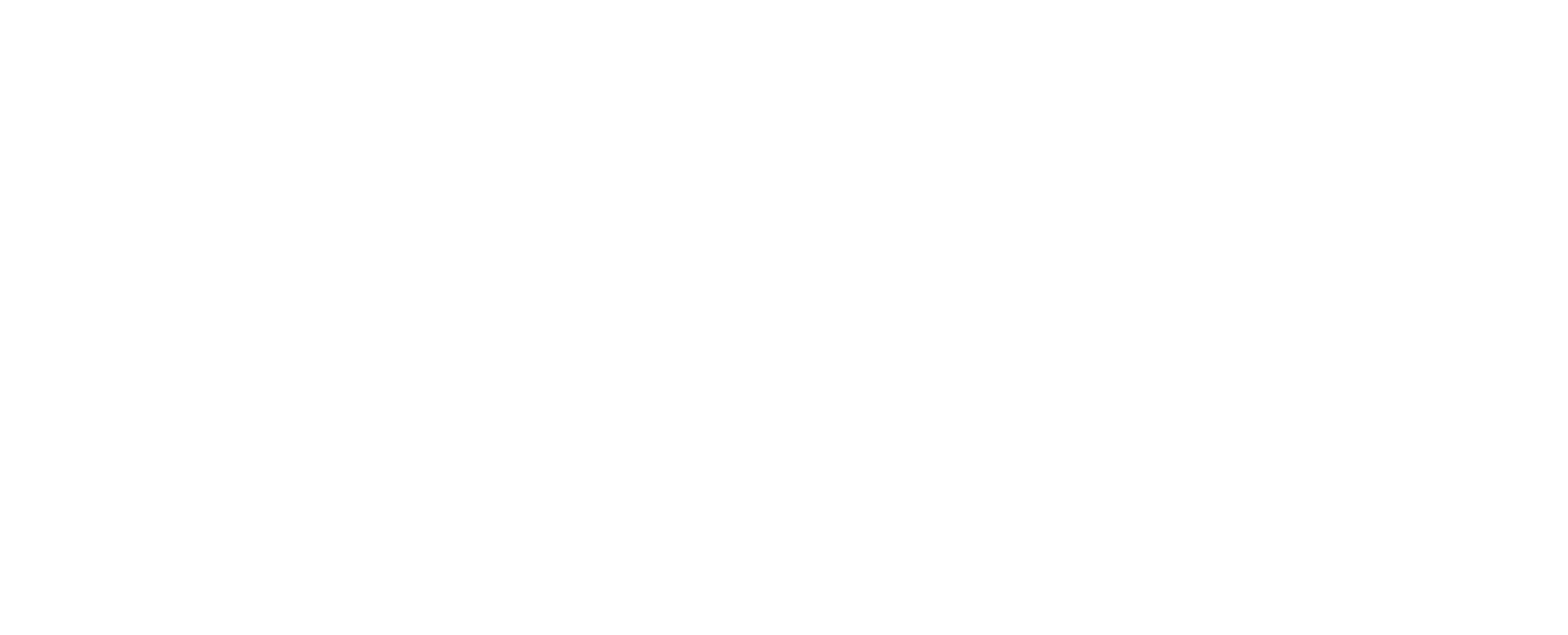 Dolphin Design