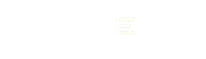 Truechip