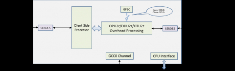 CPRI over OTN Processor Block Diagam